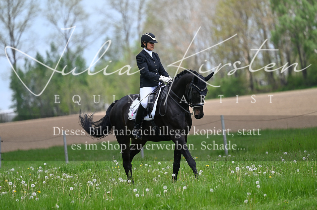 20230512_JK-Röhrsdorf-05-092 | Pferde- und Turnierfotografie in Westsachsen. Pferdeportraits, Auftragszeichnungen und intuitive Kunst.