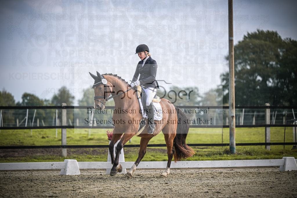 DOS_B213 | Entdecke hochwertige Reitturnierfotos von Foto Oger. Professionell, emotional und authentisch – jetzt Lieblingsmomente im Shop bestellen.Deutschlandweite Turnierfotografie. - Realisiert mit Pictrs.com