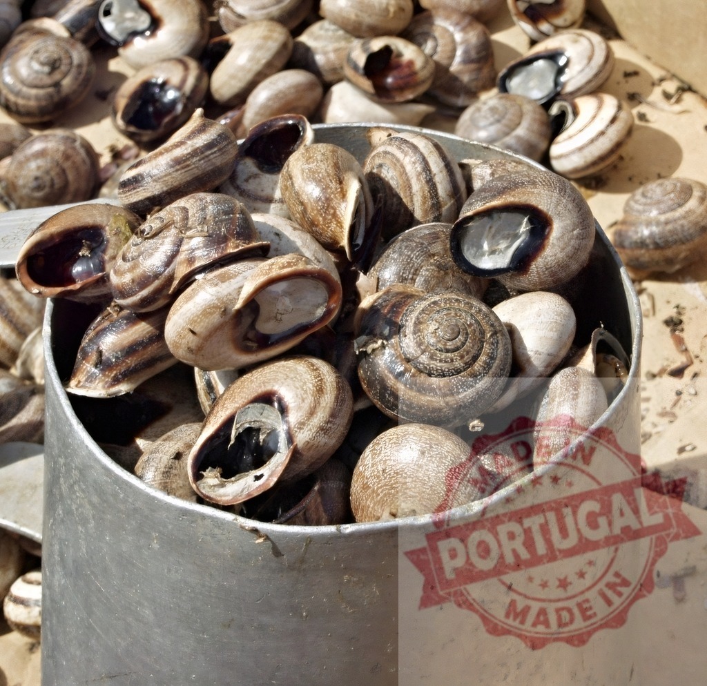 Snails for sale filling a metal bucket at market | Snails with spiral shells filling a metal bucket, ready for sale - Realized with Pictrs.com