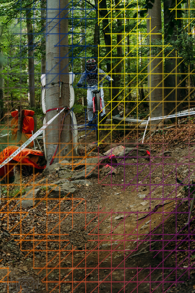 PAE-2411 | Einzigartige Fotokunst für dein Zuhause: Entdecke hochwertige Wandbilder, edle Prints und emotionale Motive von Wildlife, Natur und Landschaften - Realisiert mit Pictrs.com