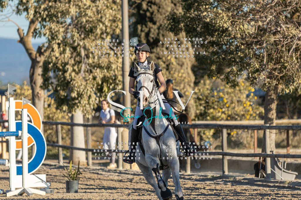 IMG_2374 | s-jay-photography - Realisiert mit Pictrs.com