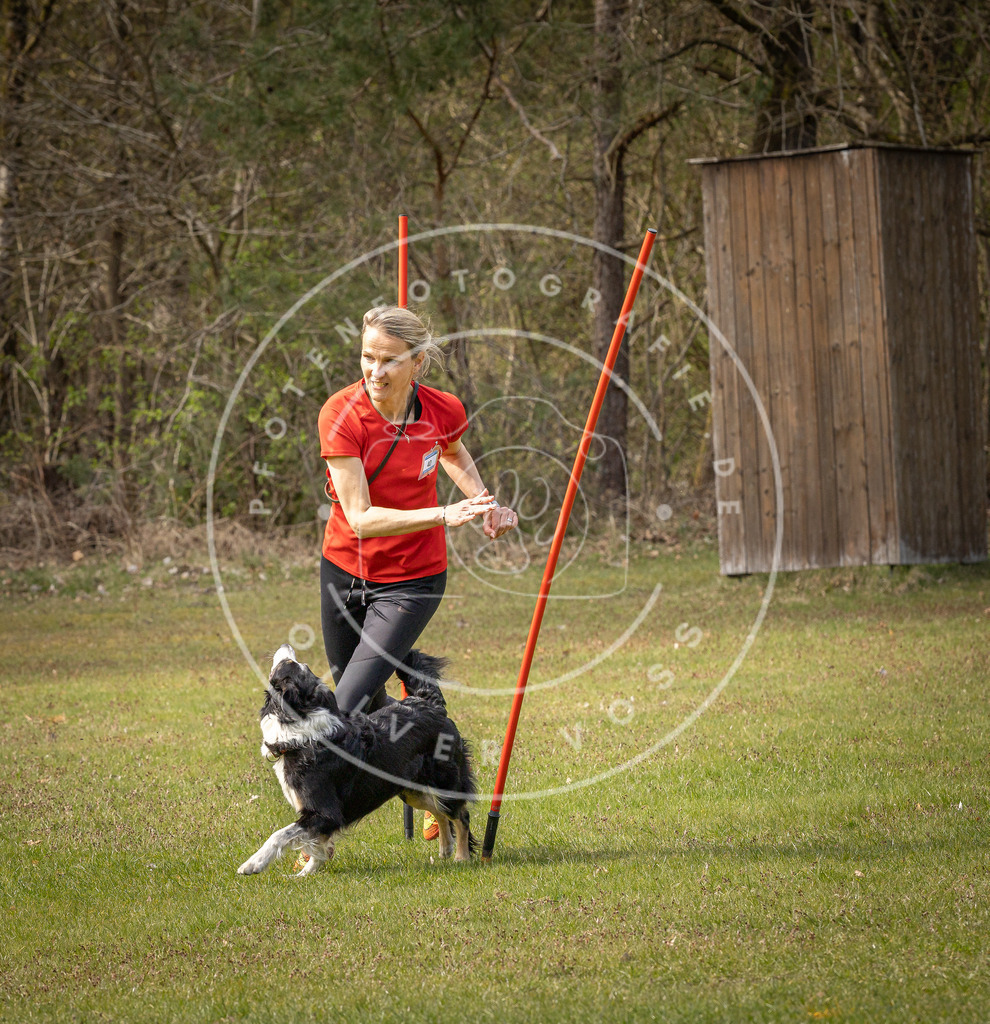 Pfotenfotografie_DV3A7683 | Hundefotografie, Tierfotograf, Pfotenfotografie, Fotoshooting Hund, Hunde Portrait, Hundesport, Hundeportraits, Heideshooting, Hunde, Sportfotograf, Hundefotograf, Turnierhundsport, THS,  - Realisiert mit Pictrs.com