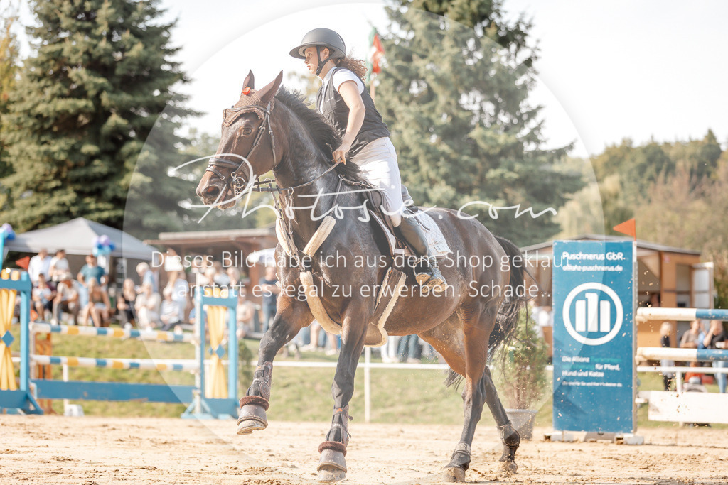 3I6A4847 | Stimmungsvolle Portraits und Reitsportfotografie im Ruhrgebiet und im Münsterland.

Pferdefotografie, Hundefotografie, Tierfotografie, Reportagen, Portraits von Tier und Mensch, Turnierfotografie in Bochum, Recklinghausen, Marl, Haltern am See, Dülmen.. - Realisiert mit Pictrs.com