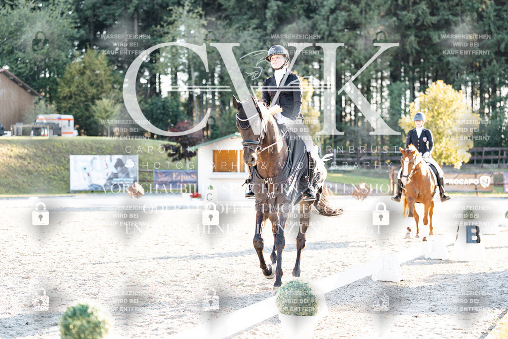 CK907263 | Turnierfotografie Pferdefotografie Trier Rheinland-Pfalz Pferdesport Reitsport Tierfotografie Sportfotografie Pferdevideo Pferdevideografie Equestrianvideography equestrianphotography  - Realisiert mit Pictrs.com
