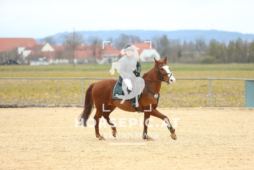 DL2Q1564 | Willkommen bei Brunnmayr - Design & Fotografie – Ihrem Spezialisten für Reitturniere und Pferdeveranstaltungen in Oberösterreich, Salzburg und Bayern! Seit über 17 Jahren sind wir leidenschaftlich dabei.