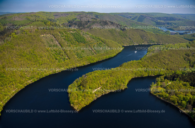 Schleiden240501977Eifel_Urfttalsperre | Luftbild, Fluss Rur und Urfttalsperre Urftsee, Ausflugsboot SeenSucht mit Gästen, Waldgebiet Hügel und Täler mit Waldschäden Nordeifel Nationalpark Eifel, Rurberg, Simmerath, Nordrhein-Westfalen, Deutschland