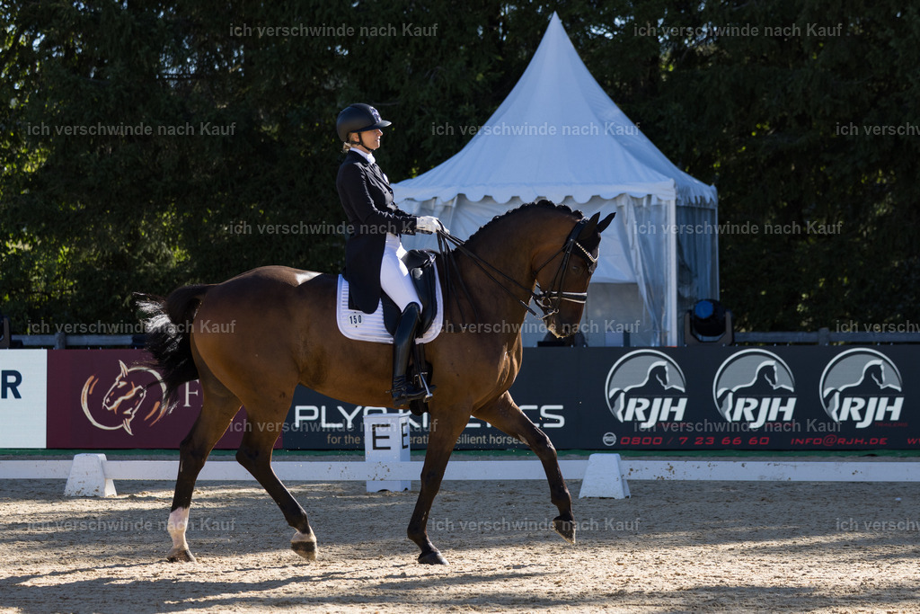 FHC2026_P07_150_17275 | working equitationturnier fotograf videograf stoibphotography marixx film working equitation deutschland reitsport turnierfotografie eventfotografie equestrian events