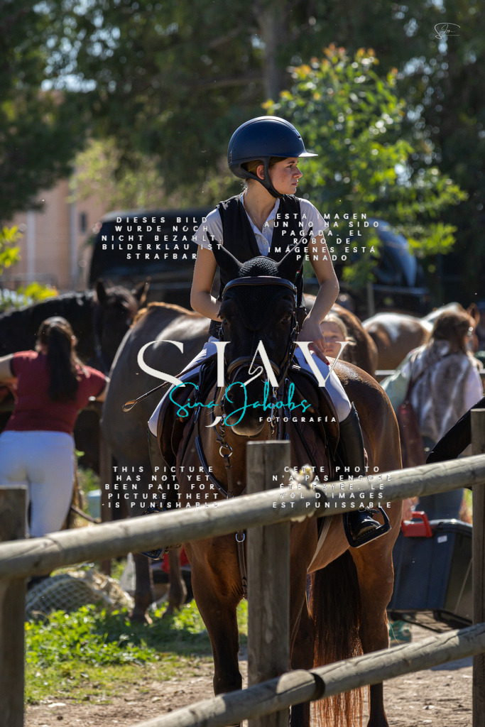 IMG_9751 | s-jay-photography - Realisiert mit Pictrs.com