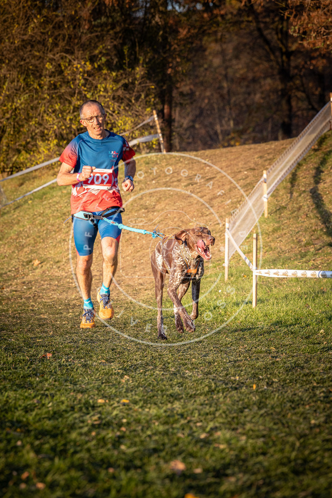 CaniXpix_0L8A1435 | Hundefotografie, Tierfotograf, Pfotenfotografie, Fotoshooting Hund, Hunde Portrait, Hundesport, Hundeportraits, Heideshooting, Hunde, Sportfotograf, Hundefotograf, Turnierhundsport, THS,  - Realisiert mit Pictrs.com