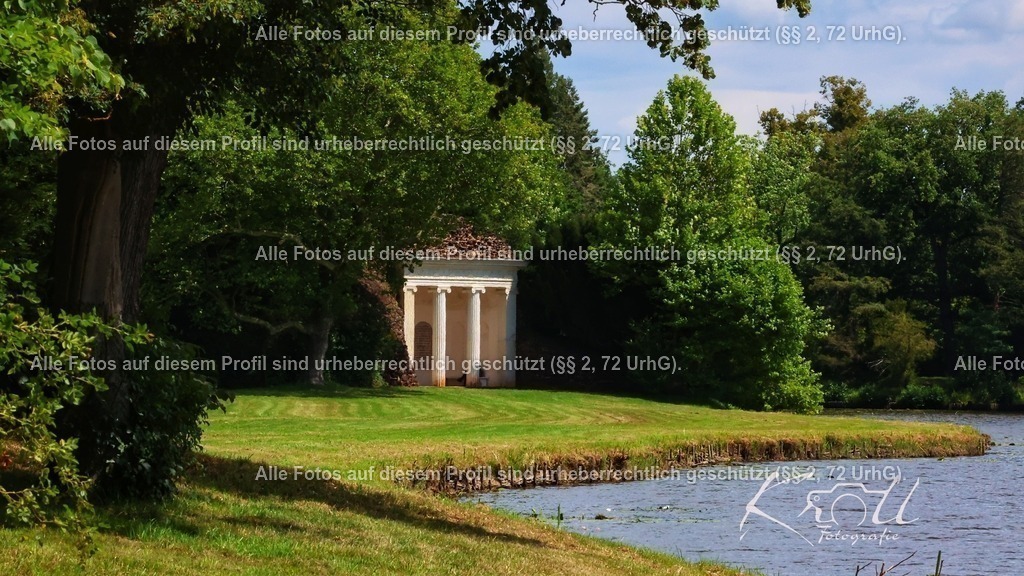 Photo_1753818991712 | krollfotografie - Realisiert mit Pictrs.com