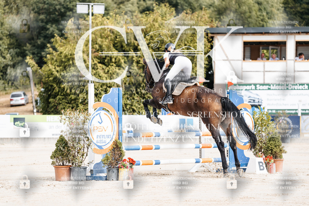 CK908850 | Turnierfotografie Pferdefotografie Trier Rheinland-Pfalz Pferdesport Reitsport Tierfotografie Sportfotografie Pferdevideo Pferdevideografie Equestrianvideography equestrianphotography  - Realisiert mit Pictrs.com