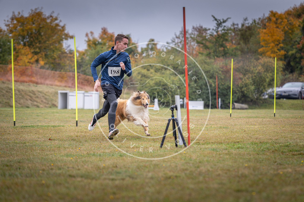 Pfotenfotografie_DV3A1148 | Hundefotografie, Tierfotograf, Pfotenfotografie, Fotoshooting Hund, Hunde Portrait, Hundesport, Hundeportraits, Heideshooting, Hunde, Sportfotograf, Hundefotograf, Turnierhundsport, THS,  - Realisiert mit Pictrs.com