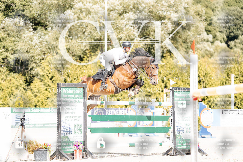 CK908933 | Turnierfotografie Pferdefotografie Trier Rheinland-Pfalz Pferdesport Reitsport Tierfotografie Sportfotografie Pferdevideo Pferdevideografie Equestrianvideography equestrianphotography  - Realisiert mit Pictrs.com
