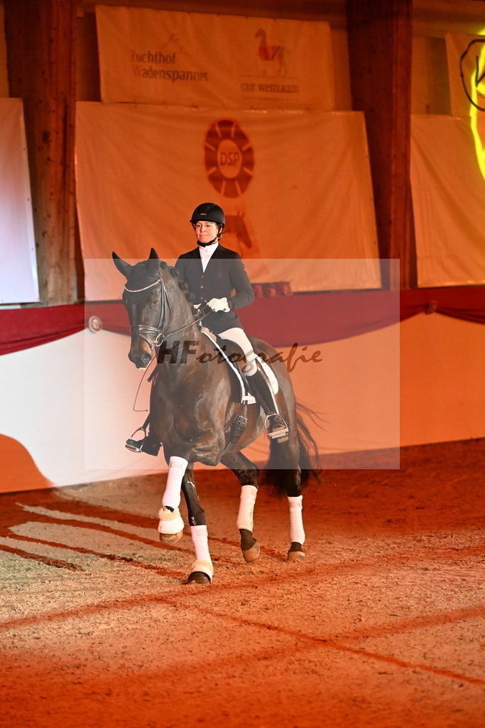 San__Haug_3262129 | hf-fotografie - Realisiert mit Pictrs.com