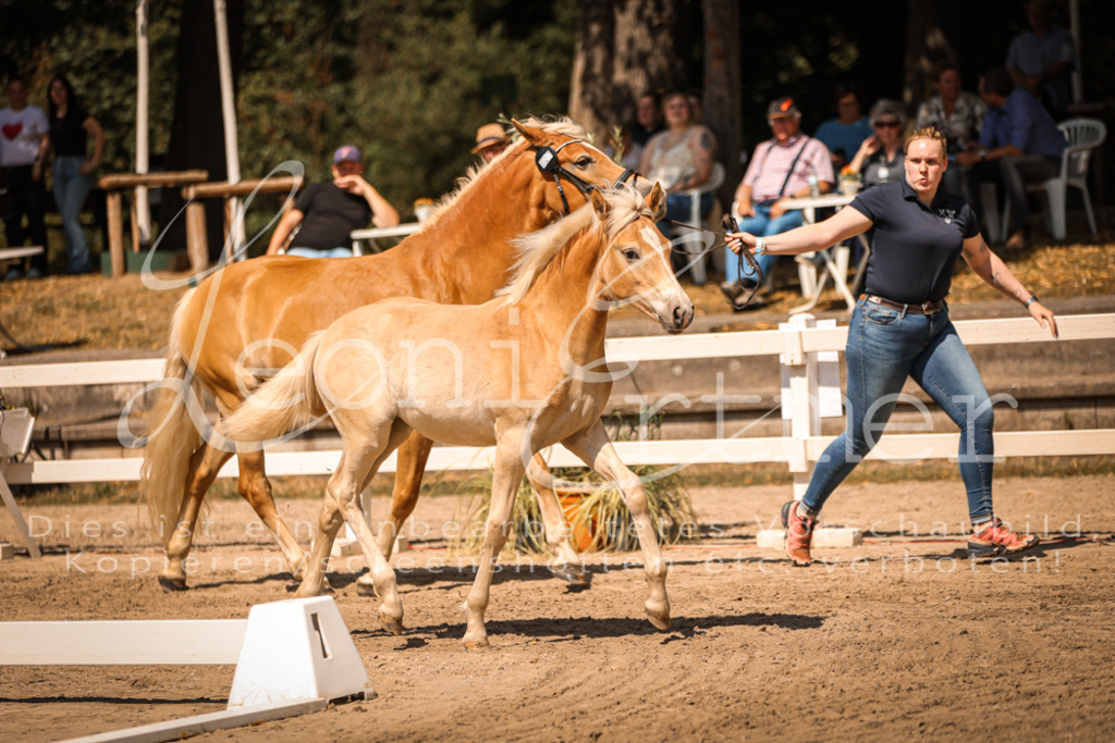 06.DoH00031 | Leoni Ertmer Photography - Realisiert mit Pictrs.com