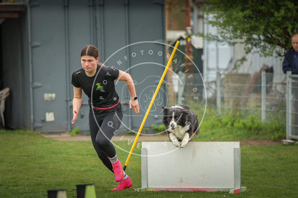 Pfotenfotografie_0L8A0809 | Hundefotografie, Tierfotograf, Pfotenfotografie, Fotoshooting Hund, Hunde Portrait, Hundesport, Hundeportraits, Heideshooting, Hunde, Sportfotograf, Hundefotograf, Turnierhundsport, THS,  - Realisiert mit Pictrs.com