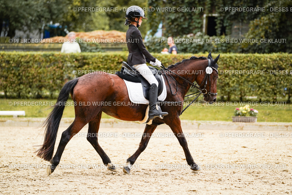 DSC00476 | Pferdegrafie