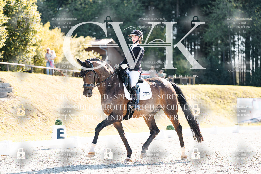 CK905956 | Turnierfotografie Pferdefotografie Trier Rheinland-Pfalz Pferdesport Reitsport Tierfotografie Sportfotografie Pferdevideo Pferdevideografie Equestrianvideography equestrianphotography  - Realisiert mit Pictrs.com