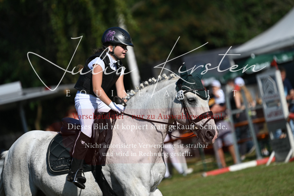 DSC_5208 | Pferde- und Turnierfotografie in Westsachsen. Pferdeportraits, Auftragszeichnungen und intuitive Kunst.