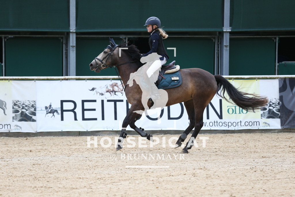 DL2Q4530 | Willkommen bei Brunnmayr - Design & Fotografie – Ihrem Spezialisten für Reitturniere und Pferdeveranstaltungen in Oberösterreich, Salzburg und Bayern! Seit über 17 Jahren sind wir leidenschaftlich dabei.