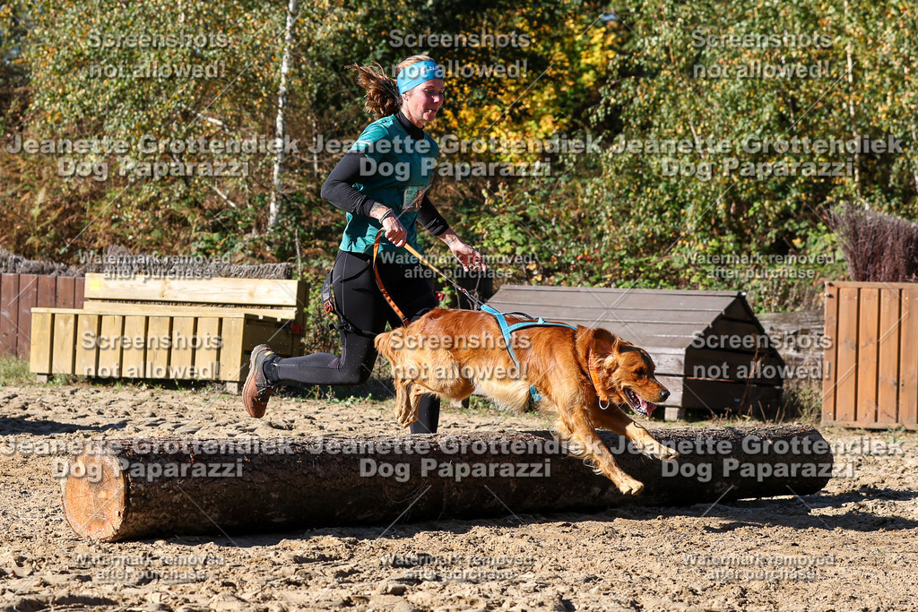 Dog Paparazzi - Strongdog 10-25-2712 | Dog Paparazzi Jeanette Grottendiek Fotografie & Videografie - Realisiert mit Pictrs.com