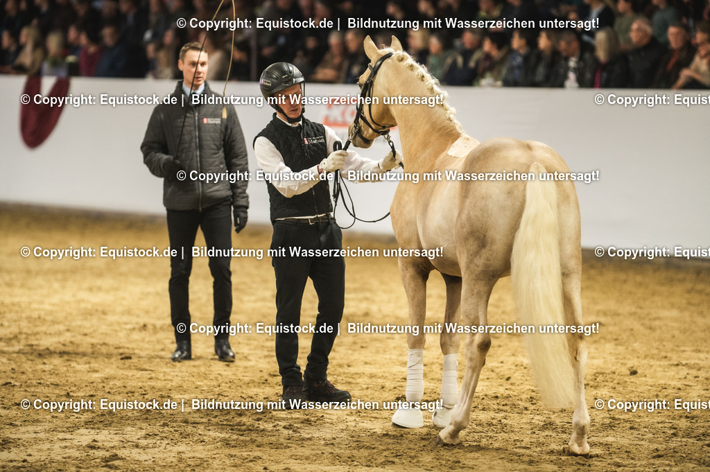 20240302_Hengstvorstellung_Marbach_TOMsPiC_0814 | equistock