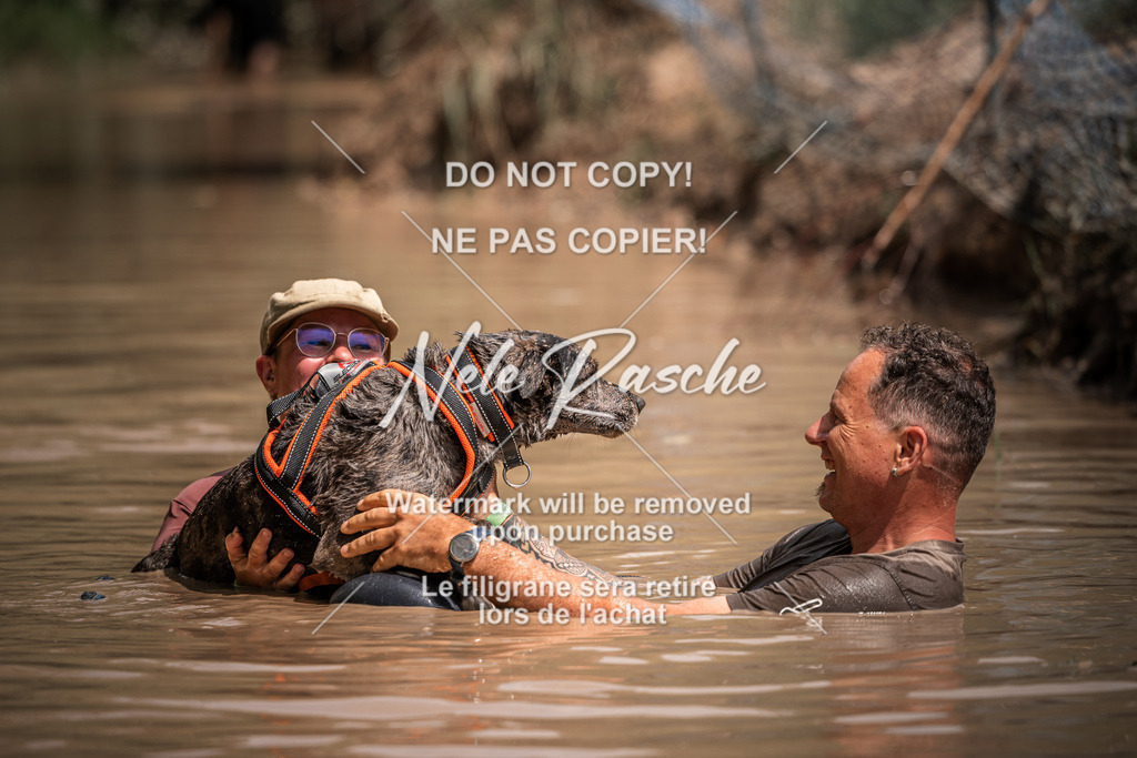 nelerasche_Hoope2026_So1430-1530_41 | nelerasche