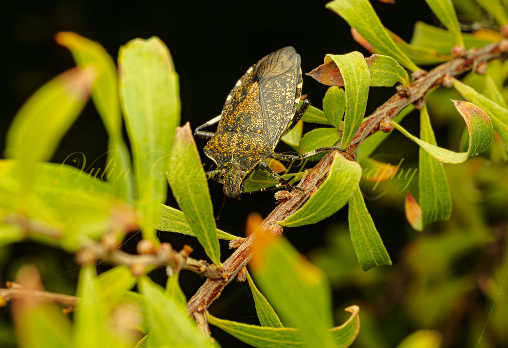 P 3 | Christian Vulin  - Realisiert mit Pictrs.com
