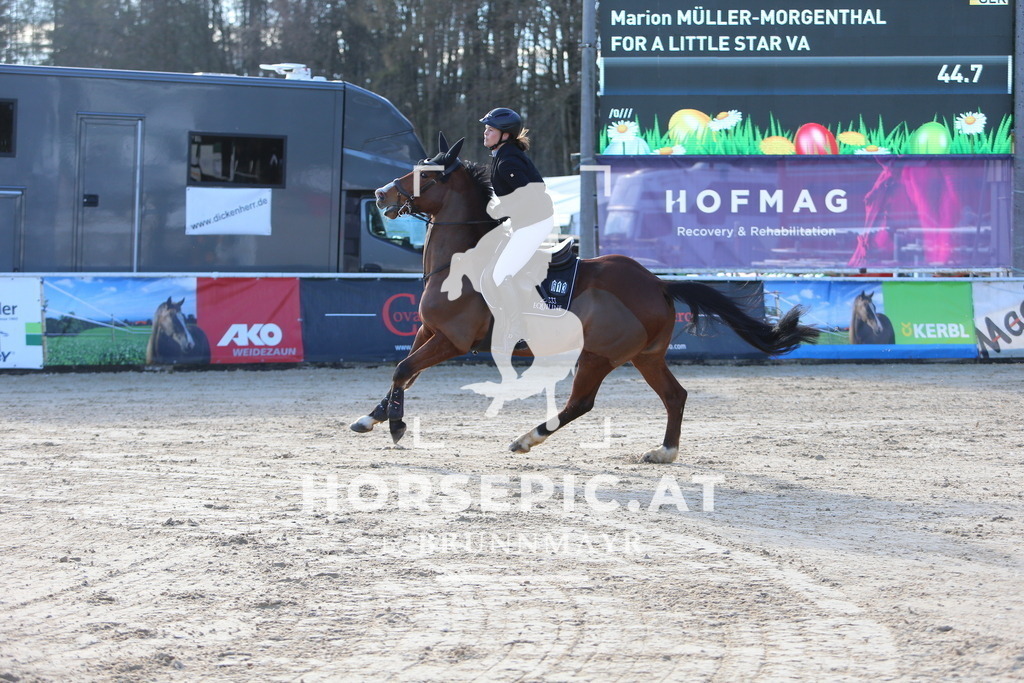 DL2Q3711 | Willkommen bei Brunnmayr - Design & Fotografie – Ihrem Spezialisten für Reitturniere und Pferdeveranstaltungen in Oberösterreich, Salzburg und Bayern! Seit über 17 Jahren sind wir leidenschaftlich dabei.