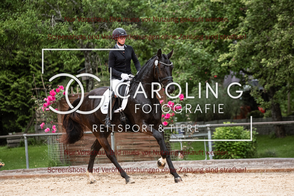 DSC_3223 | Turnierfotografin Carolin Gieschke,Reitsport Turnierfotografie Carolin G Fotografie | Turnierfotos aus Kirchheim/Teck, Esslingen, Stuttgart und dem Bodenseekreis