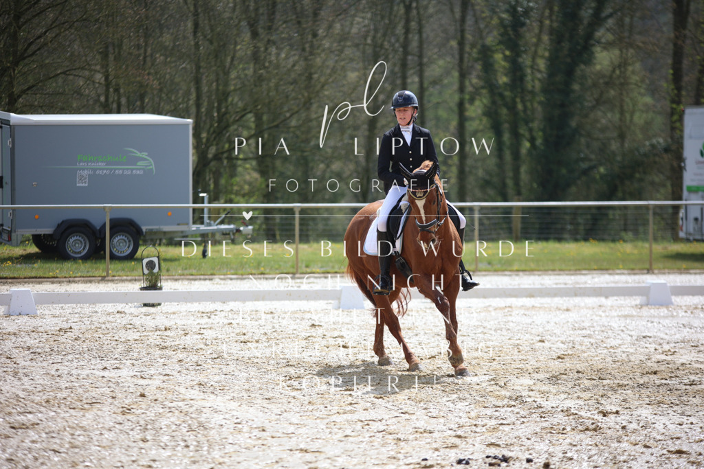 IMGT2472 | pl-fotografie