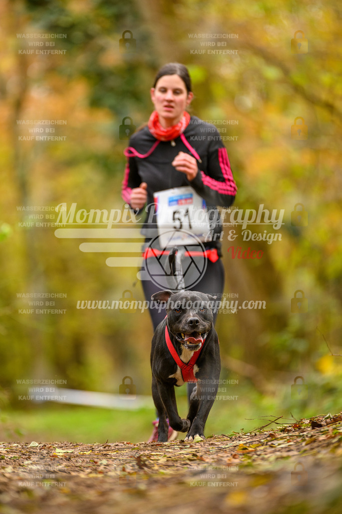 MompixPhotography_Bischwiller24_SA_Canicross-52 | PayLife