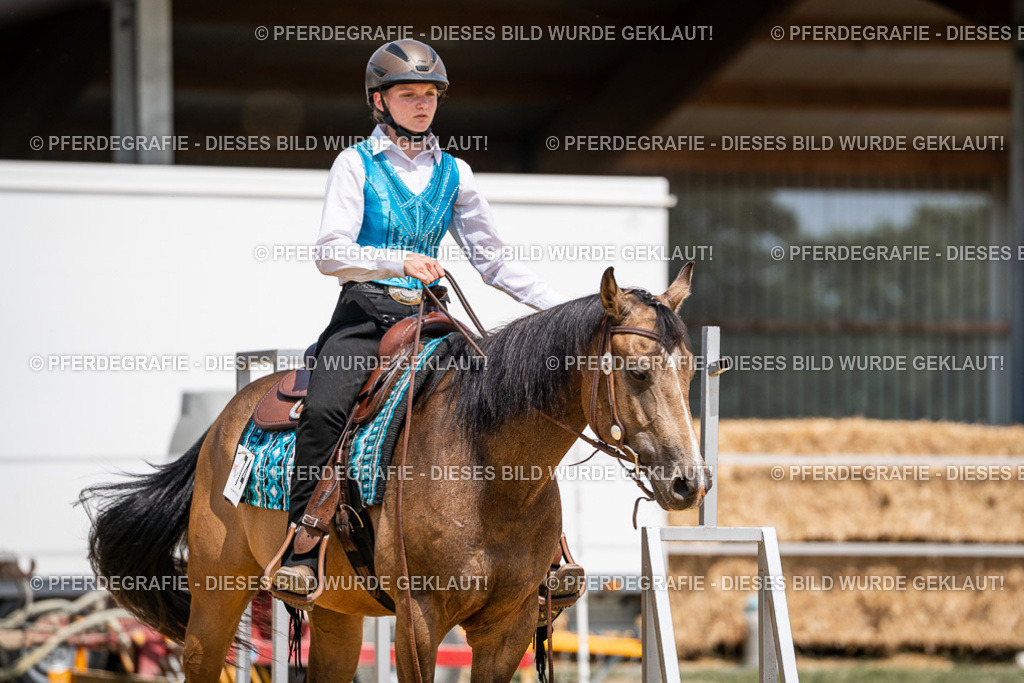 DSC00989 | Pferdegrafie