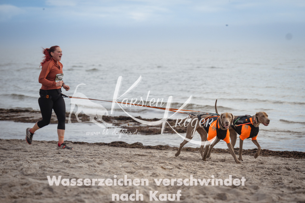 1145_ZZ90530 | kk-dogfotos