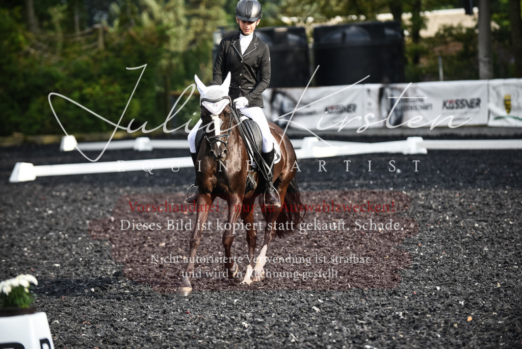 DSC_3408 | Pferde- und Turnierfotografie in Westsachsen. Pferdeportraits, Auftragszeichnungen und intuitive Kunst.