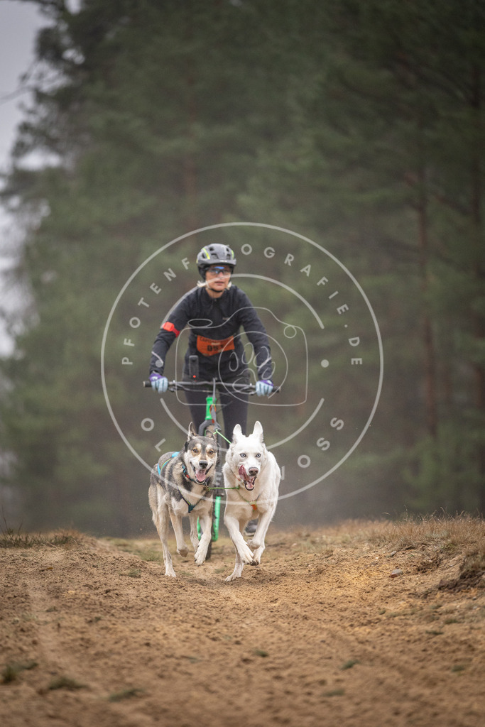 Pfotenfotografie_DV3A1238 | Hundefotografie, Tierfotograf, Pfotenfotografie, Fotoshooting Hund, Hunde Portrait, Hundesport, Hundeportraits, Heideshooting, Hunde, Sportfotograf, Hundefotograf, Turnierhundsport, THS,  - Realisiert mit Pictrs.com