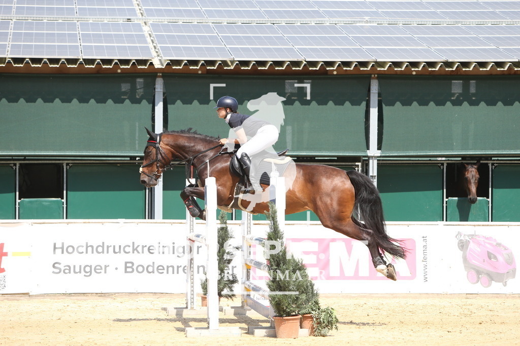 DL2Q1149 | Willkommen bei Brunnmayr - Design & Fotografie – Ihrem Spezialisten für Reitturniere und Pferdeveranstaltungen in Oberösterreich, Salzburg und Bayern! Seit über 17 Jahren sind wir leidenschaftlich dabei.