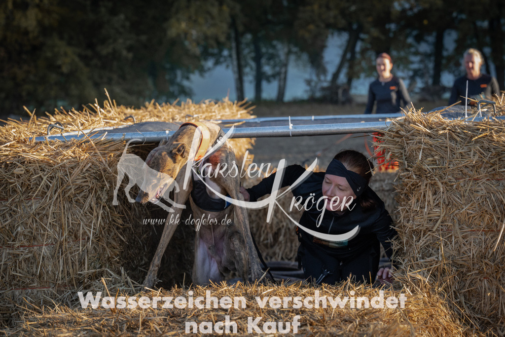 0912_ZZ91963 | kk-dogfotos