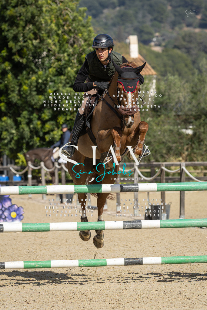 IMG_6636 | s-jay-photography - Realisiert mit Pictrs.com