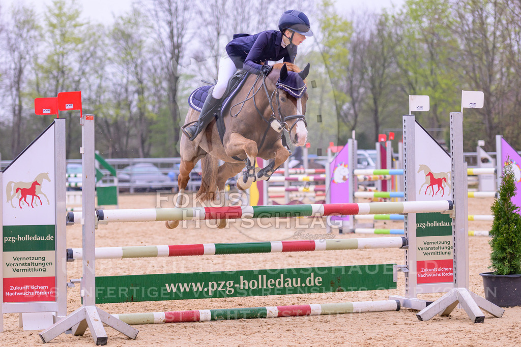 12042026-Mammendorf-Prfg41-0284 | Fokus Hufschlag Fotografie - Realisiert mit Pictrs.com