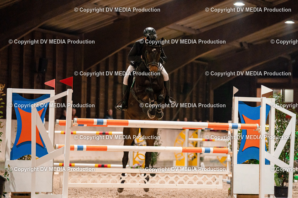 Springen Tag 2-937 | dv-media-shop - Realisiert mit Pictrs.com