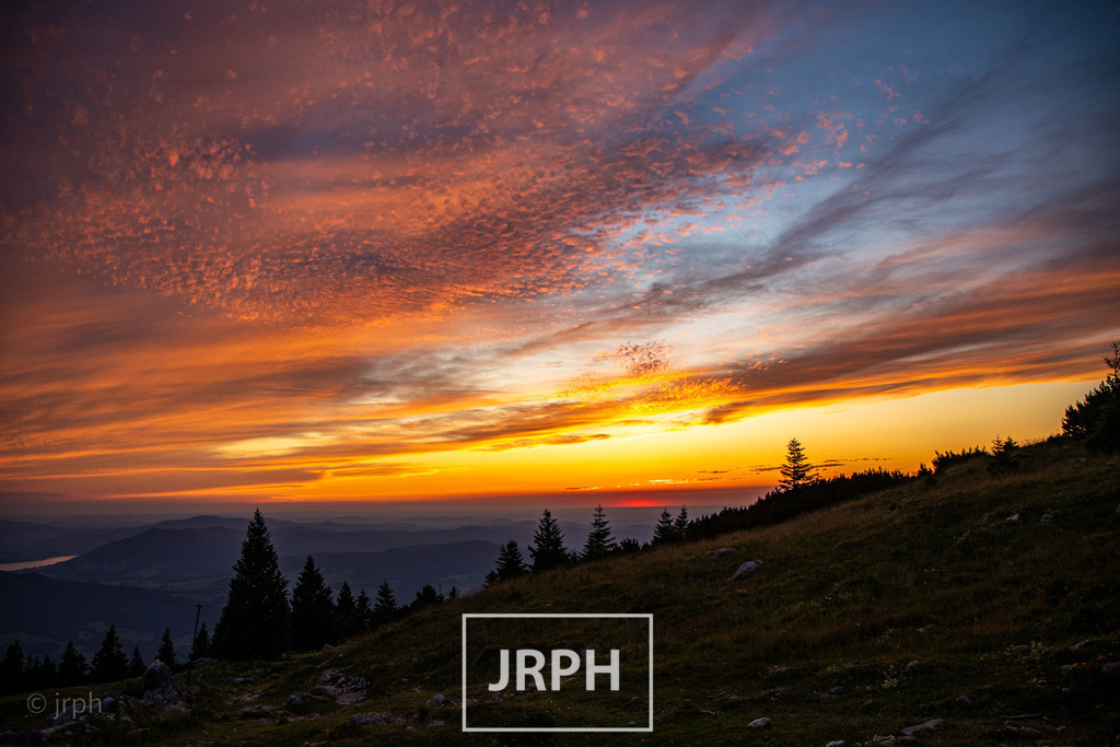 IMG_5687 | jrph - Realisiert mit Pictrs.com