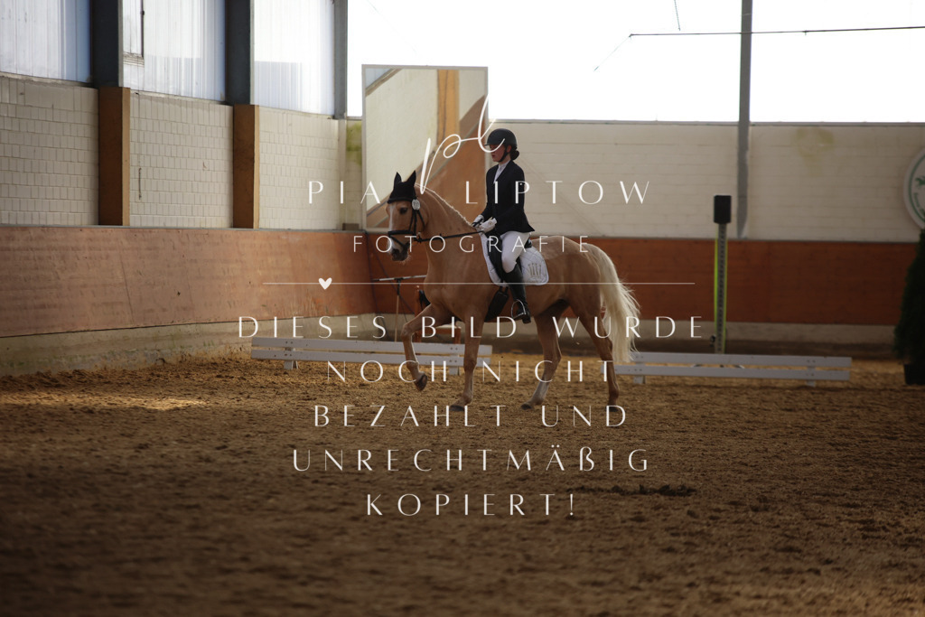 IMGT7264 | pl-fotografie