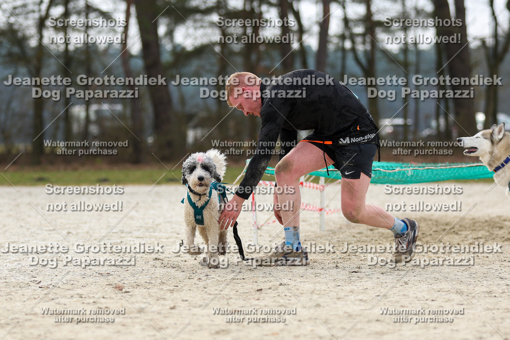 Dog Paparazzi - Strongdog North Mrz26-5682 | Dog Paparazzi Jeanette Grottendiek Fotografie & Videografie - Realisiert mit Pictrs.com