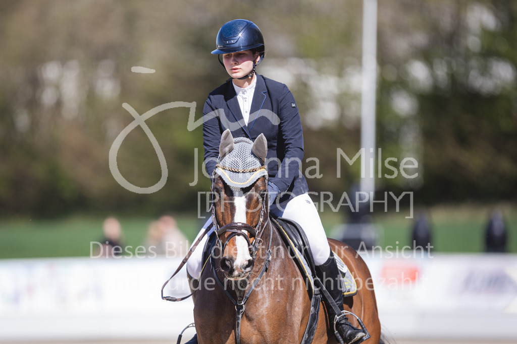 220423_Sudheim_Stil-L-121 | Oerlinghausen Währentrup 26.08.2021, Stilspringprüfung Kl.A*