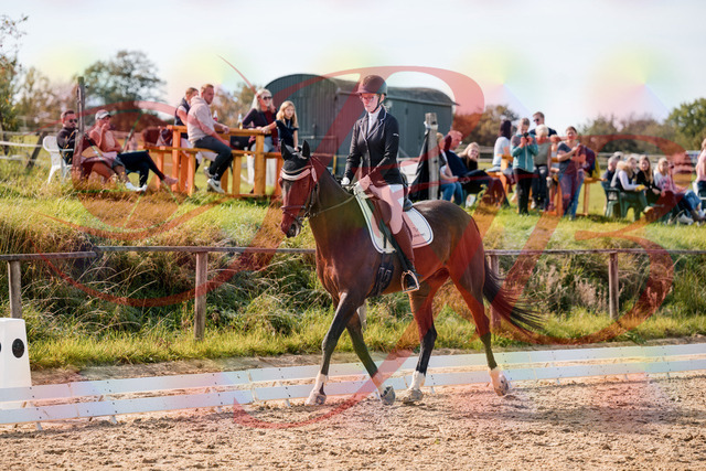 2026_10_03_Siefer-Hof_132137_Z63_83400596 | Professionelle Reitsport-, Turnier- und Eventfotografie von Robert Broda. Galerien mit ausgewählten und bearbeiteten Bildern direkt online ansehen und bestellen.