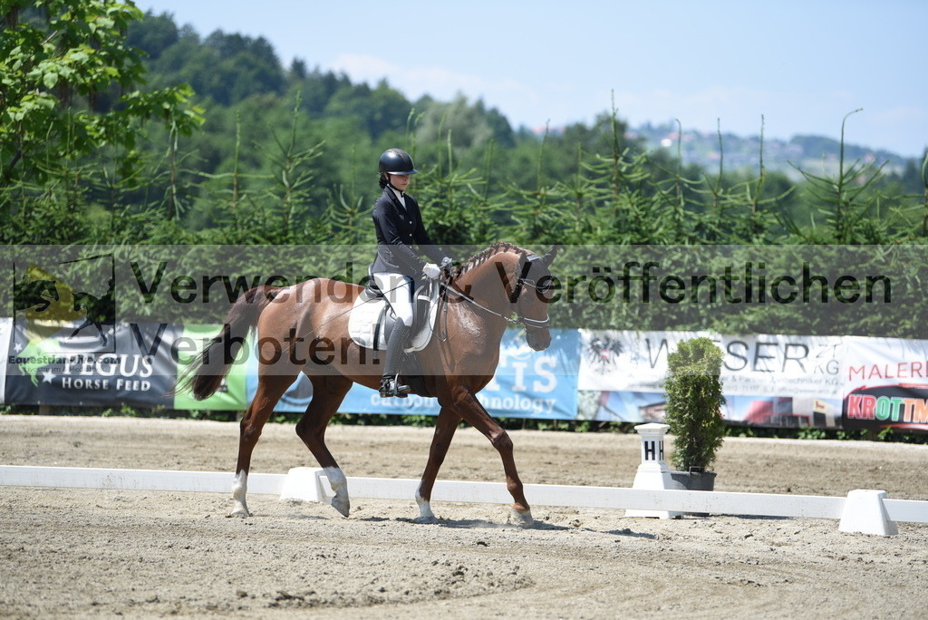 DSC_0913 | equestrian-live-com