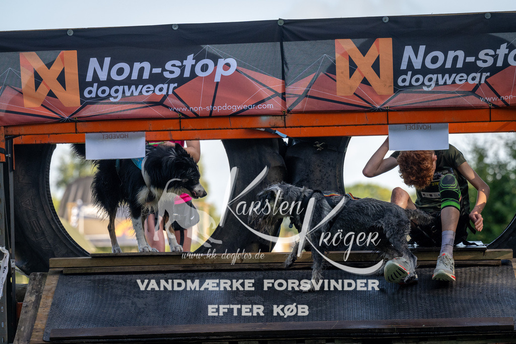 0915_ZZ90550 | kk-dogfotos