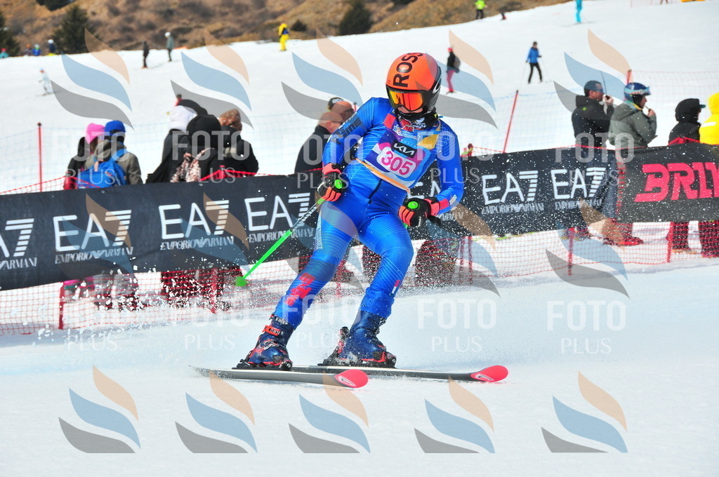 DSC_6580 | holidayphoto