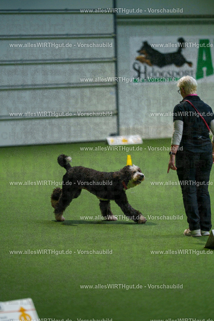 7R508108 | Professionelle Tierfotografie in Mönchengladbach von Daniel Wirth (allesWIRTHgut). Liebevolle & natürliche Bilder von Hunden & Katzen für unvergessliche Erinnerungen.